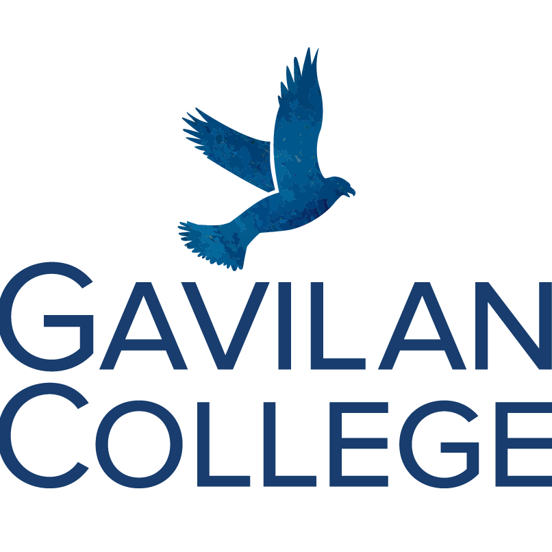 Kolehiyo ng Gavilan